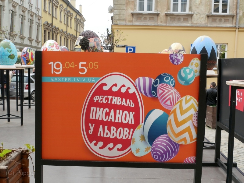 C P1120919.JPG